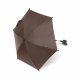 Trille Parasol, Mrkebrun
