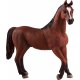 Mojo Arabisk Hingst, Kastanje