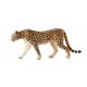 Mojo Gepard han