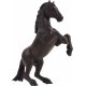 Mojo Mustang Hest, Sort
